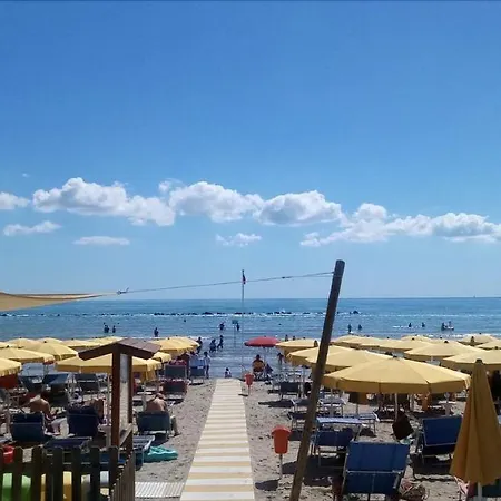 Holiday 3*